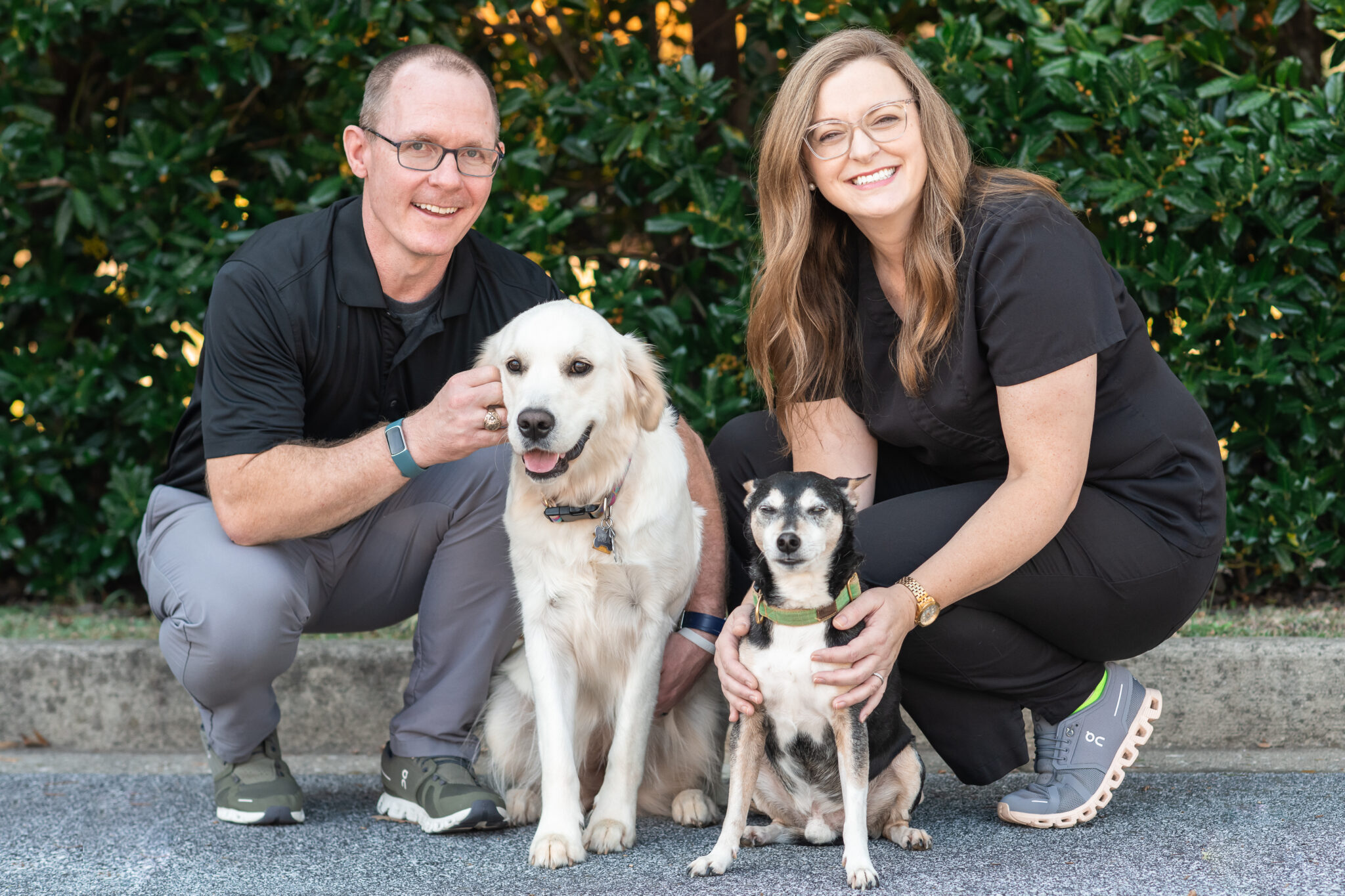 Pediatric Dentist Spartanburg SC Dentist For Kids Children